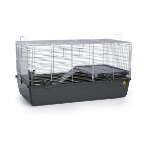 Prevue Pet Products 528 Small Animal Home